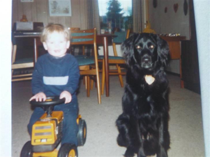 Blanding af racer Buster R.I.P billede 2