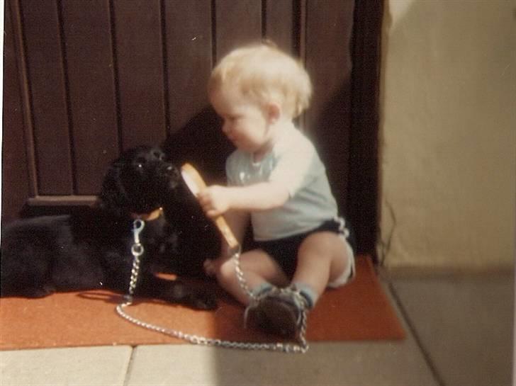 Blanding af racer Buster R.I.P billede 3