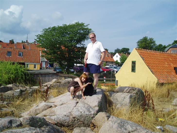 Amerikansk cocker spaniel Elvis - MIg Elvis Og Far som står og venter på nogle venner nede på Bornholm  billede 5