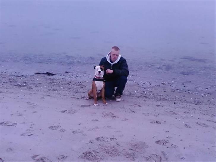 Blanding af racer Tjico - Tjico og farmand på stranden billede 3