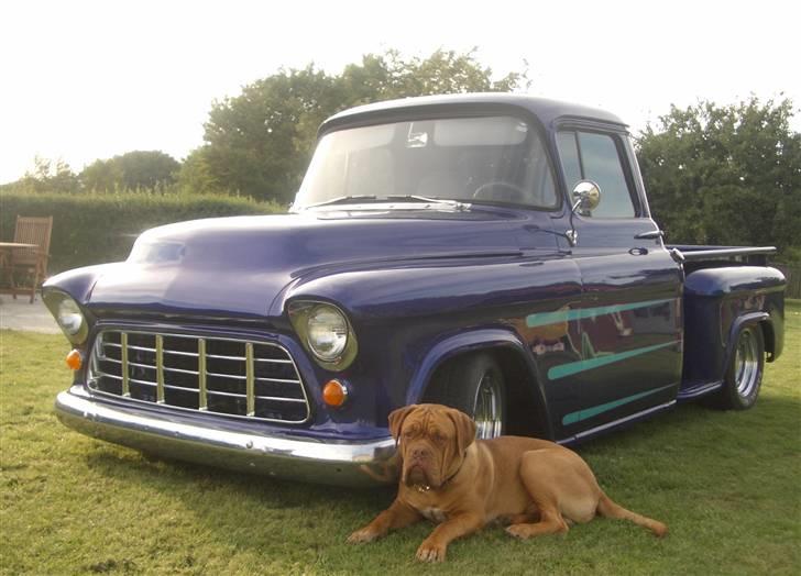 Dogue de bordeaux  Junker R.I.P.  22/12-09  - på tur ved fjorden billede 8