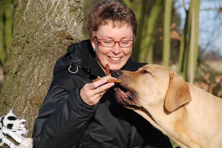 Broholmer Tjalfe - Tjalfe fylder 1 år og får "lagkage" billede 13