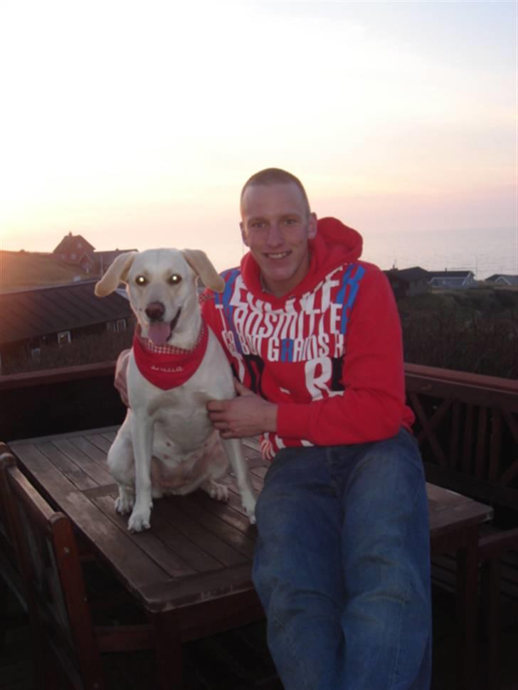 Labrador retriever Luna - Luna med hendes far billede 3