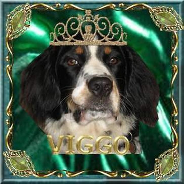 Blanding af racer **Viggo** - Haha! The king! xD Tak Kia J:D billede 13