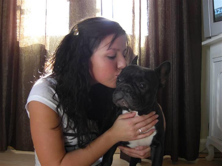 Fransk bulldog Coco - de to smukker damer hygger sig :o) billede 20