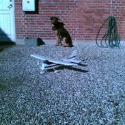 Blanding af racer nasa