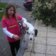 Blanding af racer sammi