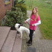 Blanding af racer sammi