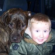 Blanding af racer Gucci :D