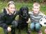 Labrador retriever Max    R.I.P  - mig, max og min lillebror