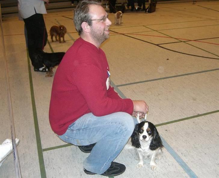 Cavalier king charles spaniel Freja ( RIP) - DRU udstilling i Hellehallen den 5-4-08 billede 11