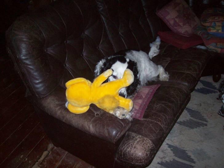 Blanding af racer Basse - Det er min bamse ,oscar bliv væk billede 18