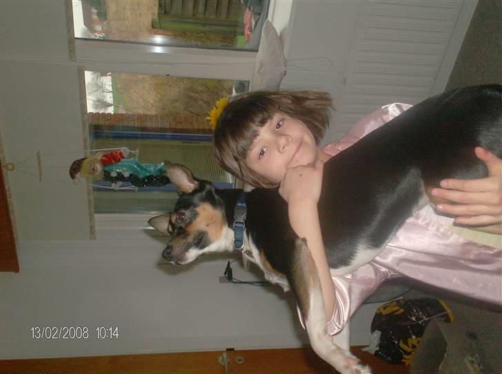 Blanding af racer Emil billede 7