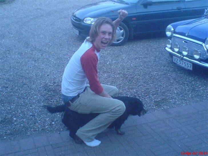 Blanding af racer Rollo - James og Rollo. (han sidder ikke på ham) billede 4