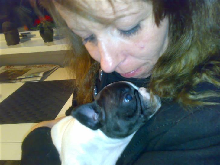 Fransk bulldog Simba - Første møde med min "mor" billede 6