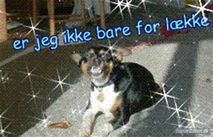 Blanding af racer Emil billede 9