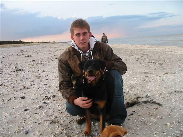 Rottweiler Kiki billede 19