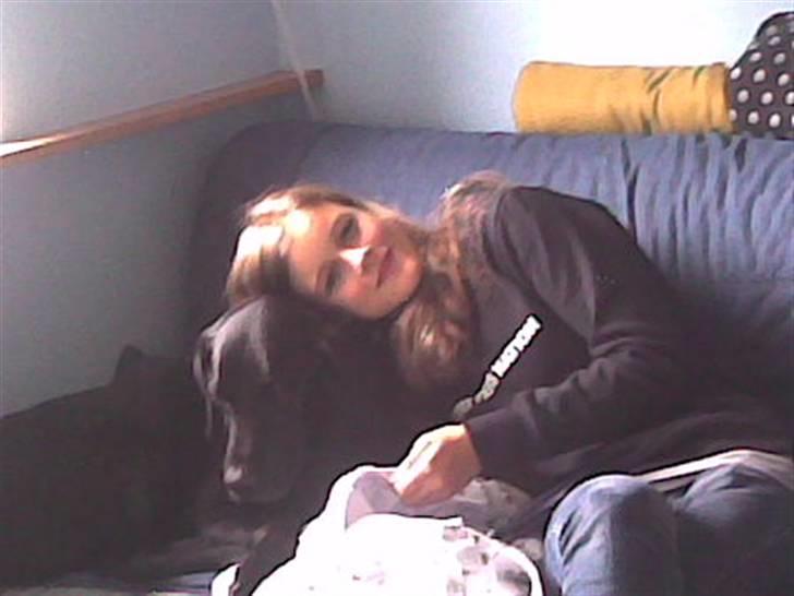 Labrador retriever Gibson *R.I.P* - We like each other <3  billede 19