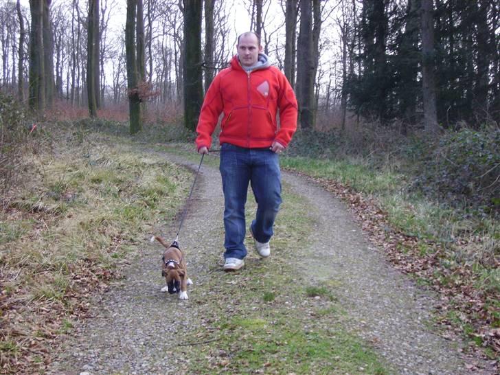 Boxer Arnold, død 24.10.08 billede 6