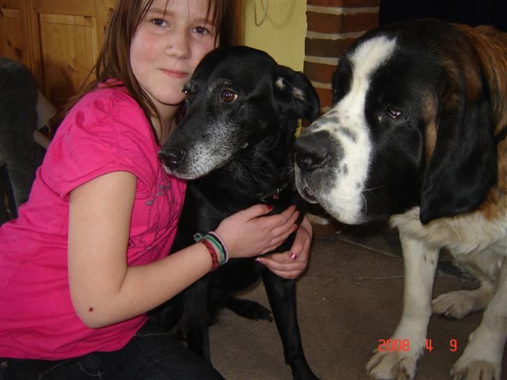 Blanding af racer R.I.P. Trunte - her er jeg sammen med isabella og balder de er mine bedste venner og en del af familien  billede 2