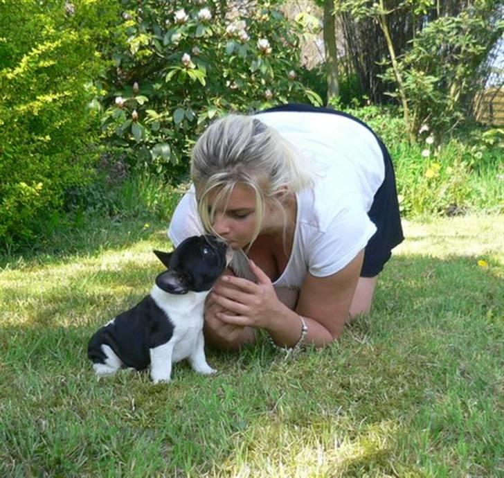 Fransk bulldog midland moor´s Al-Capone  - Mig og mor Rikke kysser. billede 18