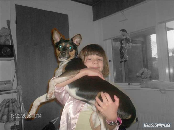 Blanding af racer Emil billede 10