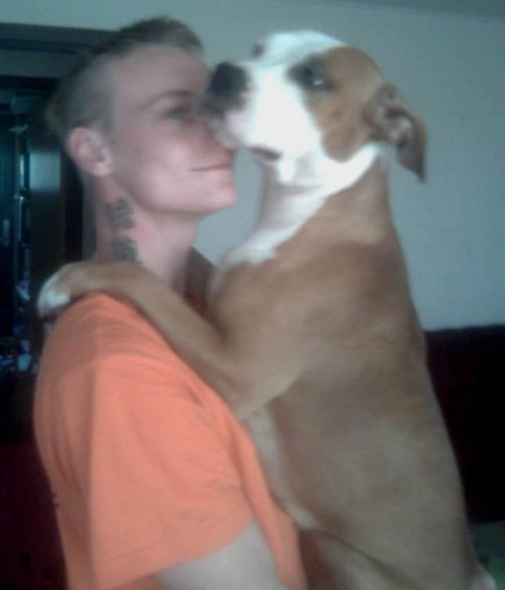 Blanding af racer Bine billede 14