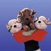 AlVeRdEnS-hUnDe *S*