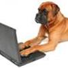 Facebook erfaringer