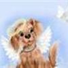 Hundehimmel
