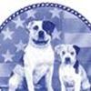 Amerikansk bulldog forum