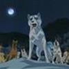 Silver Fang / Densetsu Weed
