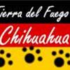 Tierra del Fugeo Familien