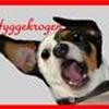 HyggeKrogen