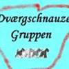 Dværgschnauzer gruppen