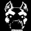 Amstaff 4 Ever 4 Ever Amstaff