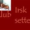 Irsk setter klubben