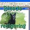 Billederedigering