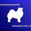 Samojedgruppen
