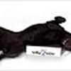 VillaVOV hundemassage