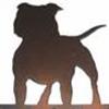 Staffordshire Bull Terrier Klubben Fyn