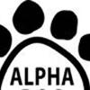 Alpha Dogz