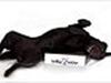 VillaVOV hundemassage