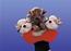 AlVeRdEnS-hUnDe *S*