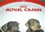 Royal Canin klubben
