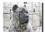 Dogo Canario...