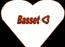 Basset