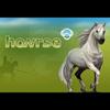 Howrse.dk
