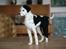 Uldhunde