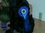 Labrador tilbyder parring